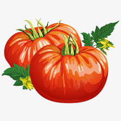 蔬菜卡通番茄西红柿素材