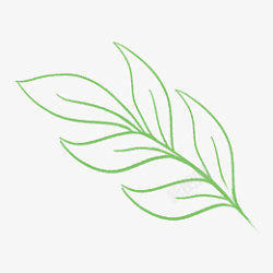 绿色线条树叶免抠图素材