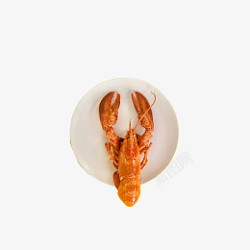 一只在盘子里的小龙虾素材