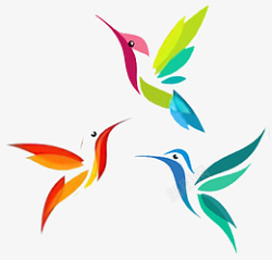 多彩鸟类多彩慨念鸟类高清图片