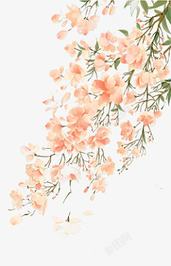 高清手绘水彩中国风粉色花朵枝条插画素材素材