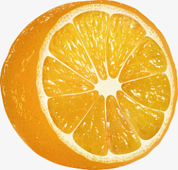 切面橙子手绘效果图素材