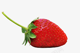 草莓水果奶油草莓红草莓png免抠素材_88icon https://88icon.com 草莓 水果 奶油草莓 甜