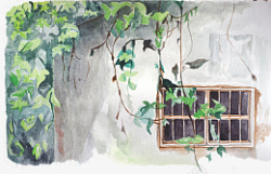 老屋精美手绘水彩日系房屋爬山虎插画高清图片
