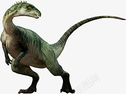 科普恐龙图片png免抠素材_88icon https://88icon.com 恐龙 矢量图 动物 侏罗纪