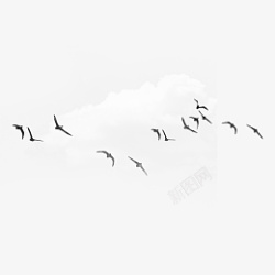 在白云中飞翔的鸟素材