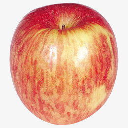 高清苹果png素材psd免抠素材_88icon https://88icon.com 苹果 水果 果类 红苹果