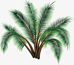 热带雨林树装饰卡通原始树木高清图片