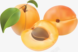 水果红杏卡通图片素材