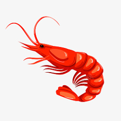 手绘海鲜大虾插画素材