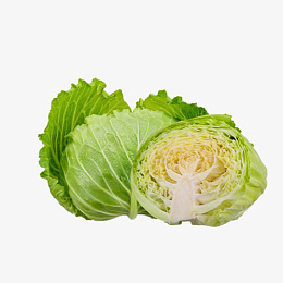 几颗新鲜的大白菜png免抠素材_88icon https://88icon.com 蔬菜 食物 青青 试用
