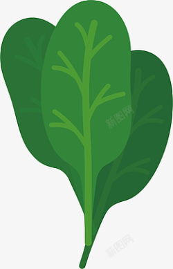 菜叶装饰绿色的菜叶子高清图片