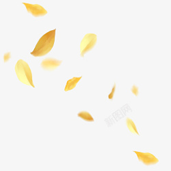 散落的叶子风吹散的落叶漂浮素材疟高清图片