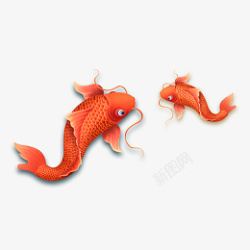 国潮鲤鱼中国风锦鲤红色鲤鱼素材