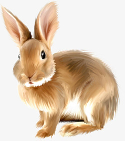 卡通高清PNG兔子动物图片素材