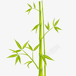 卡通竹子植物矢量图5png免抠素材_88icon https://88icon.com 卡通 竹子 植物 绿色