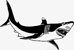 手绘鲨鱼黑白图cdr免抠素材_88icon https://88icon.com 装饰 合成 复古 鲨鱼