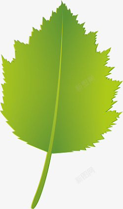 绿色树叶环保装饰品素材