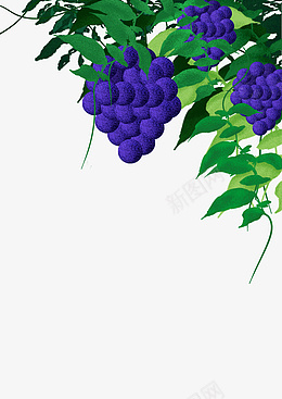 手绘噪点插画葡萄psd免抠素材_88icon https://88icon.com 葡萄 水果 葡萄架 紫葡萄