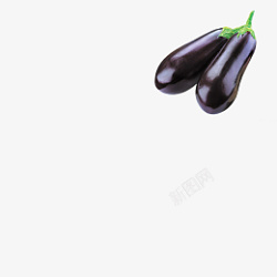 两个紫色长茄子素材