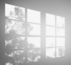 白色窗口手绘窗户大树创意影子高清图片