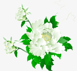 绿牡丹花朵国风素材