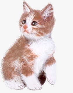 毛茸茸的花猫手绘版本小花猫高清图片