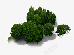 树木绿树俯视树树元素png免抠素材_88icon https://88icon.com 树木 绿树 俯视树 树元素
