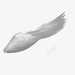白色羽毛天使翅膀素材