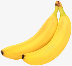 高清PNG香蕉水果图片3素材