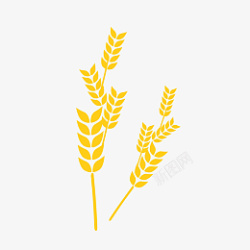 秋天大丰收金黄色小麦矢量麦穗高清图片