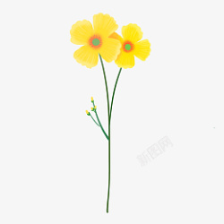 手绘春天植物黄色小花素材