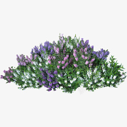紫白色花草素材素材