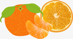 橘子免扣卡通手绘橙色素材
