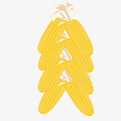 黄色的玉米免抠图素材