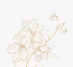黄金树叶金线描花卉植物高清图片