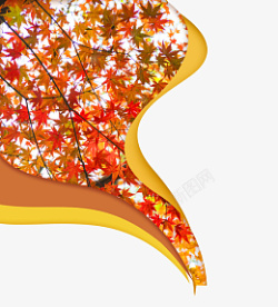 秋分流动的秋天枫叶枫树素材