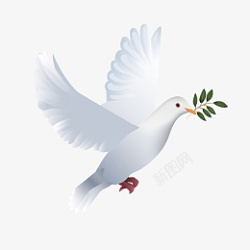 展翅白鸽手绘鸽子和平鸽插画谡高清图片