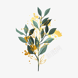 植物插画植物装饰素材图标
