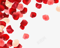 情人节玫瑰花瓣元素素材