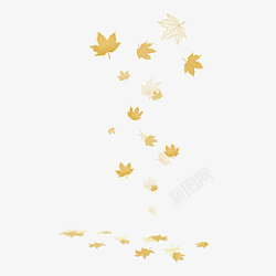 秋天黄色枫落叶图素材