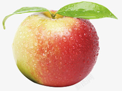 嘎啦果苹果水果素材