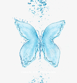 水珠蝴蝶水流动态png免抠素材_88icon https://88icon.com 水珠 蝴蝶 水流 动态