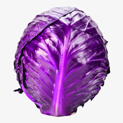 包菜紫菜甘蓝蔬菜素材