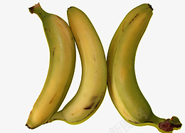 水果香蕉黄色png免抠素材_88icon https://88icon.com 水果 香蕉 黄色 banana