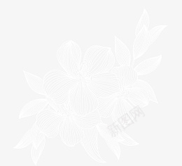 手绘白色线稿花卉叶子png免抠素材_88icon https://88icon.com 春天 白色 线条 花卉 花瓣 花纹 花芯