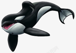 卡通海洋动物虎鲸高清图片素材