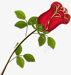 红色金边玫瑰花素材