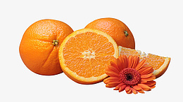 橘子橙子水果冰糖橙png免抠素材_88icon https://88icon.com 橘子 橙子 水果 冰糖橙