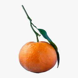 橙子高清素材素材